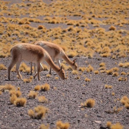 Hoteles Pueblo De Tierra San Pedro de Atacama Dış mekan fotoğraf